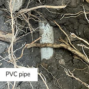 PVC pipe